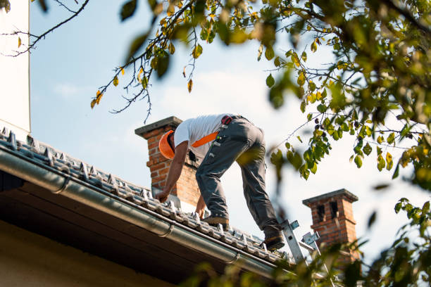Best Residential Roofing Contractor  in Alorton, IL