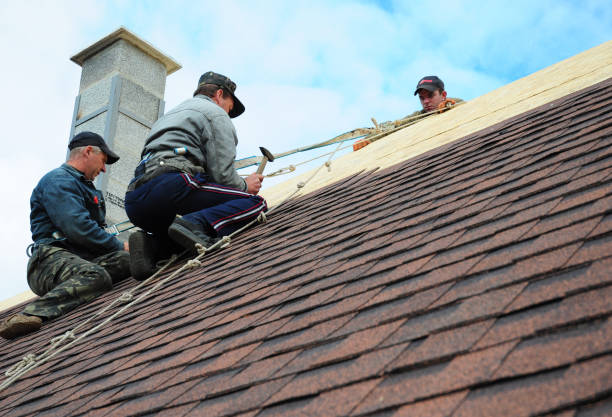 Best Metal Roofing Contractor  in Alorton, IL